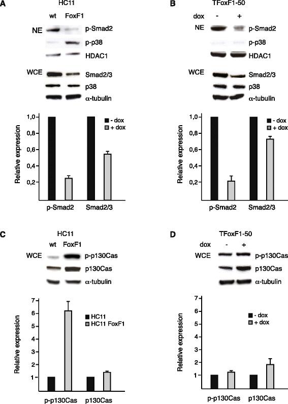 https://cdn.ncbi.nlm.nih.gov/pmc/blobs/47a3/4763409/88105b81cfac/12885_2016_2196_Fig5_HTML.jpg