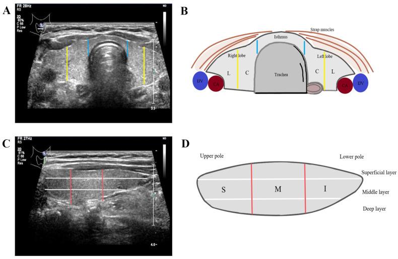 https://cdn.ncbi.nlm.nih.gov/pmc/blobs/47a4/11353660/118ecf39f726/diagnostics-14-01770-g001.jpg