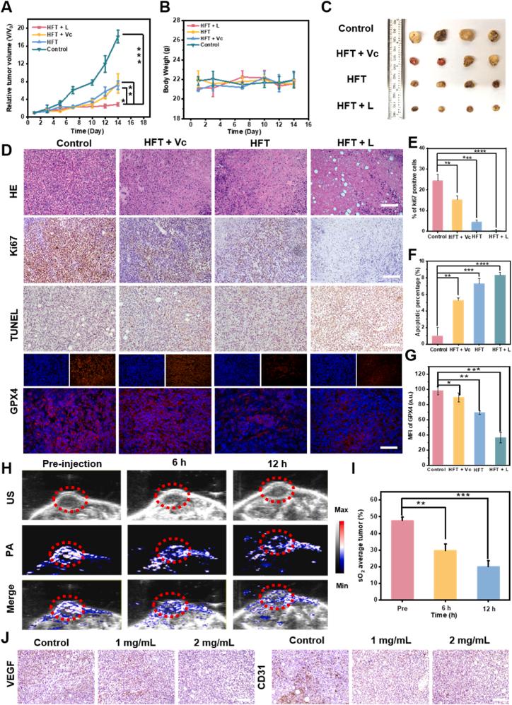 https://cdn.ncbi.nlm.nih.gov/pmc/blobs/47a4/11986554/1e88ba345044/gr6.jpg