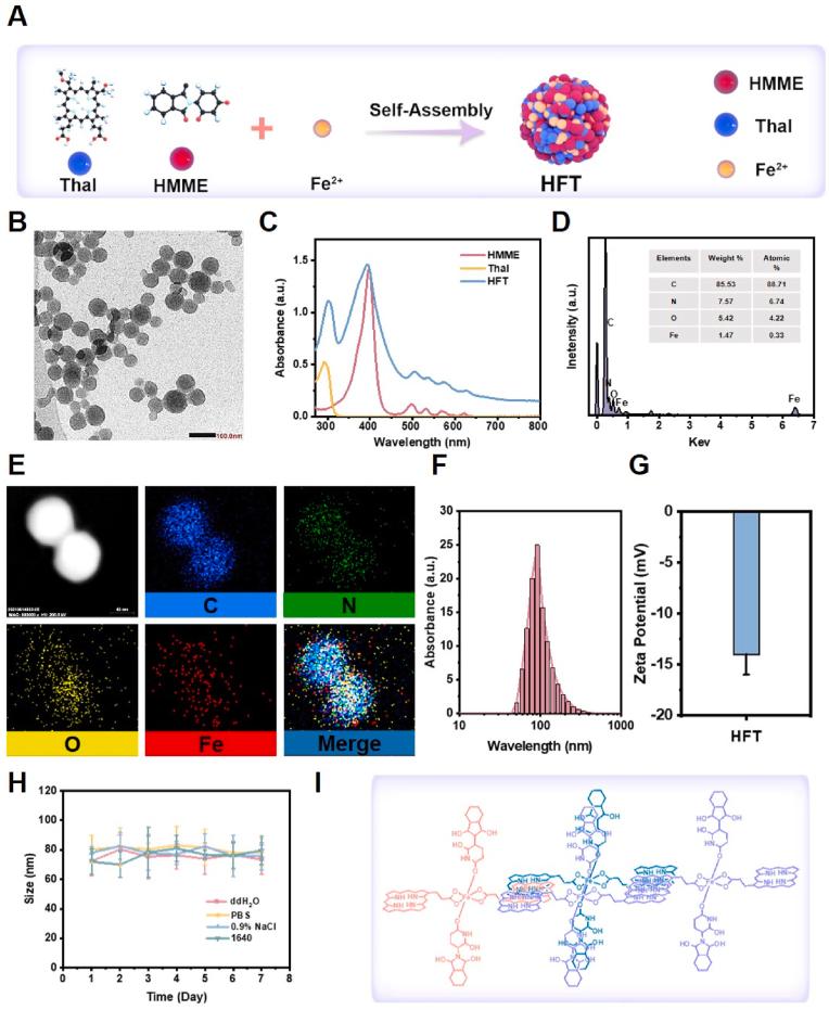 https://cdn.ncbi.nlm.nih.gov/pmc/blobs/47a4/11986554/395c531837f8/gr1.jpg