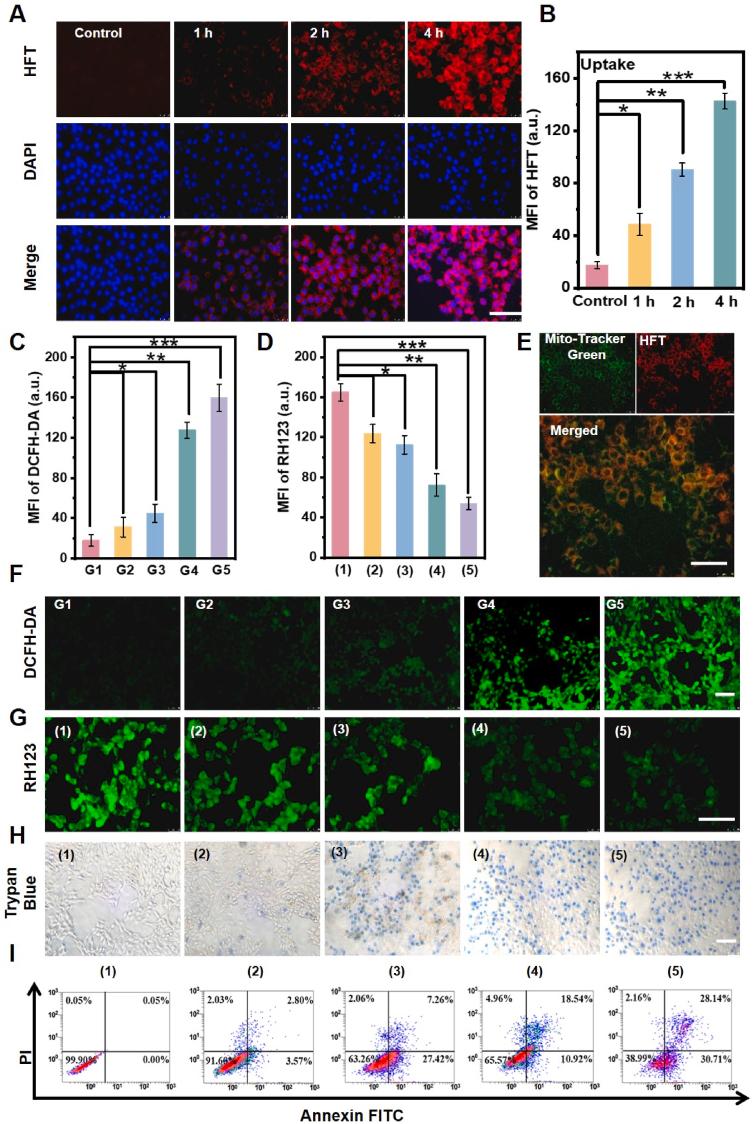 https://cdn.ncbi.nlm.nih.gov/pmc/blobs/47a4/11986554/ad2fe7f01929/gr4.jpg