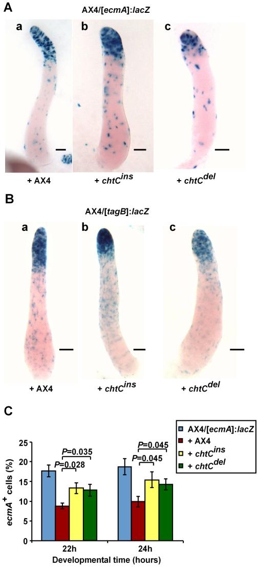 https://cdn.ncbi.nlm.nih.gov/pmc/blobs/47a5/2829058/46683885580c/pgen.1000854.g003.jpg
