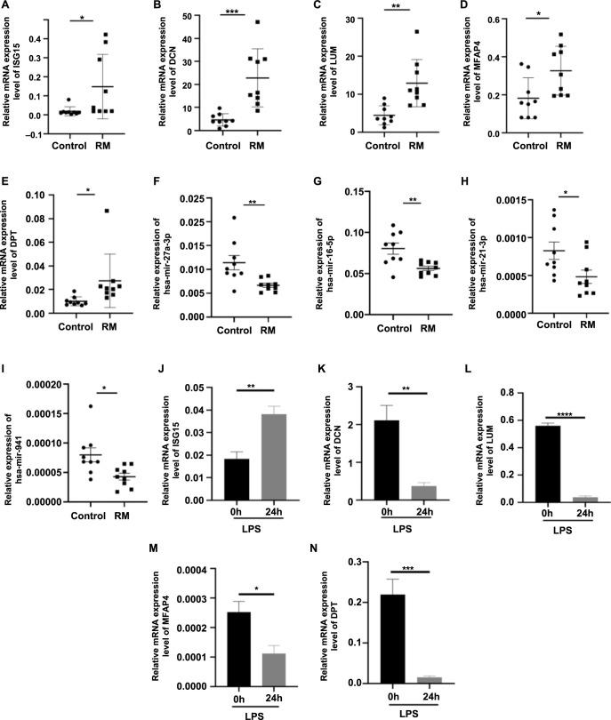 https://cdn.ncbi.nlm.nih.gov/pmc/blobs/47a7/12042675/10cee67c1aae/bb-2024-11158f5.jpg