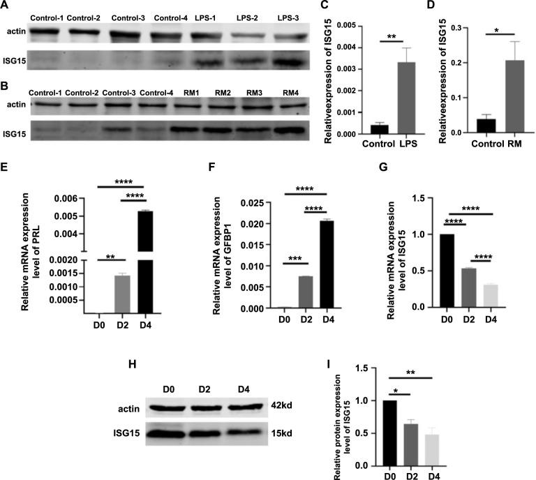 https://cdn.ncbi.nlm.nih.gov/pmc/blobs/47a7/12042675/5059d2824bcd/bb-2024-11158f6.jpg