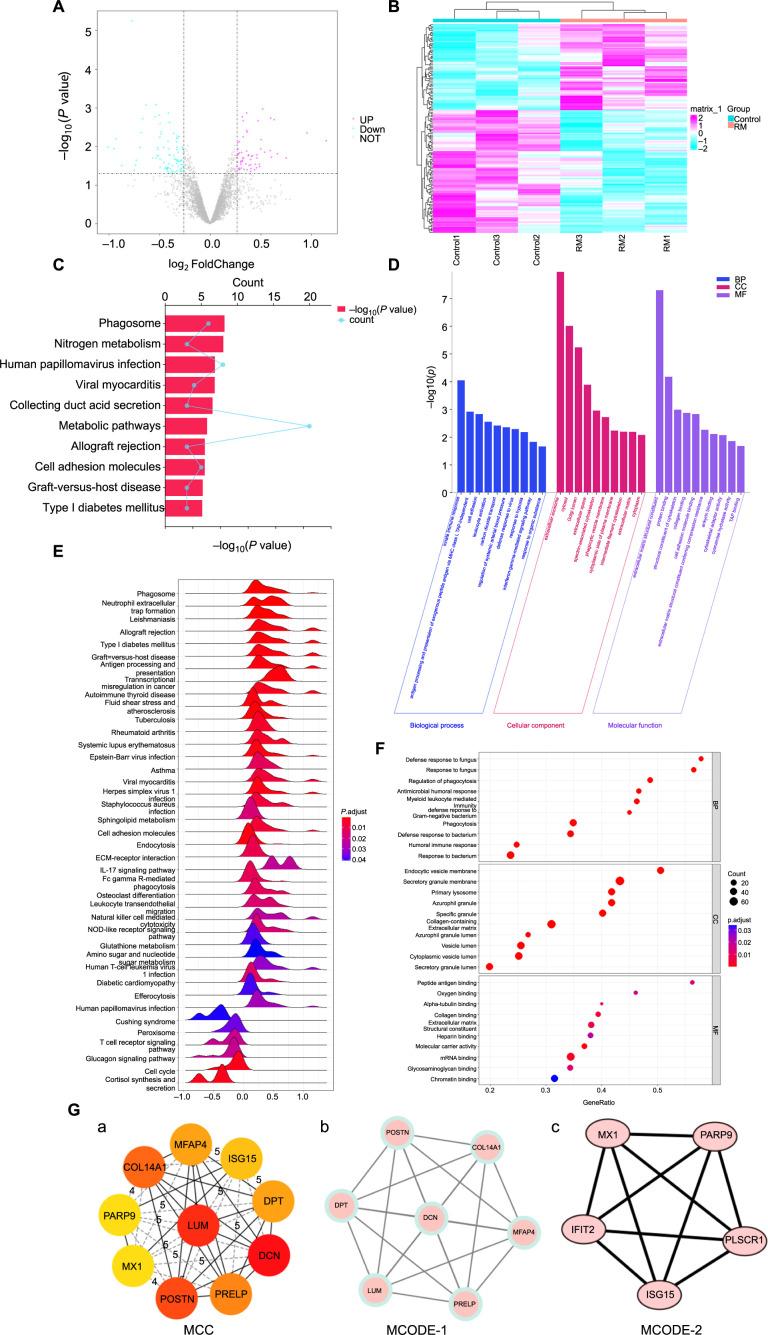 https://cdn.ncbi.nlm.nih.gov/pmc/blobs/47a7/12042675/936ef0bef651/bb-2024-11158f2.jpg