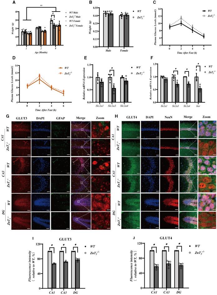 https://cdn.ncbi.nlm.nih.gov/pmc/blobs/47a8/11130425/cc3be516e99c/fnmol-17-1375925-g0005.jpg