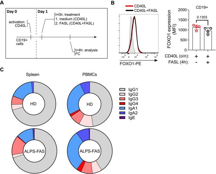 https://cdn.ncbi.nlm.nih.gov/pmc/blobs/47ab/11803499/1bdbe4c799e6/IMR-330-0-g004.jpg