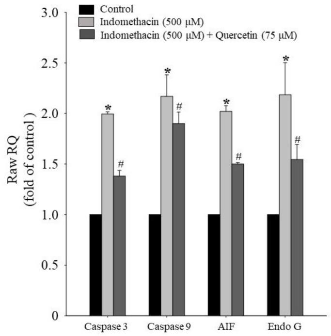 https://cdn.ncbi.nlm.nih.gov/pmc/blobs/47ab/8623736/9e5886ce142e/life-11-01134-g005.jpg