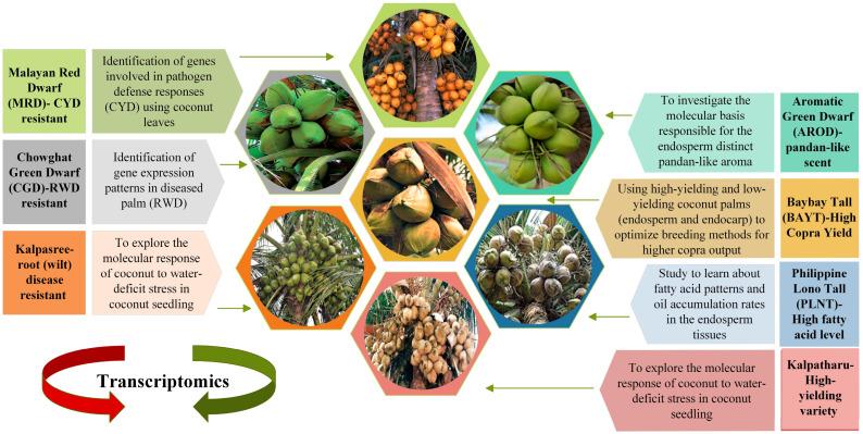 https://cdn.ncbi.nlm.nih.gov/pmc/blobs/47ac/10181077/34bf2c6676fa/plants-12-01913-g002.jpg