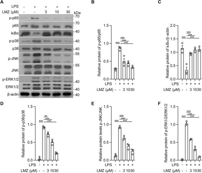 https://cdn.ncbi.nlm.nih.gov/pmc/blobs/47ac/10484514/4a5b538100c7/fphar-14-1236469-g005.jpg