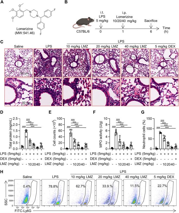 https://cdn.ncbi.nlm.nih.gov/pmc/blobs/47ac/10484514/905618b508c8/fphar-14-1236469-g001.jpg