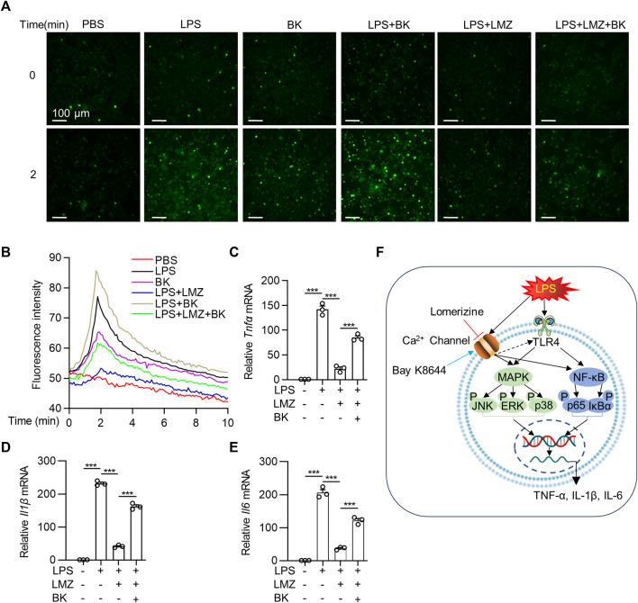 https://cdn.ncbi.nlm.nih.gov/pmc/blobs/47ac/10484514/a9ae8d126fa3/fphar-14-1236469-g006.jpg