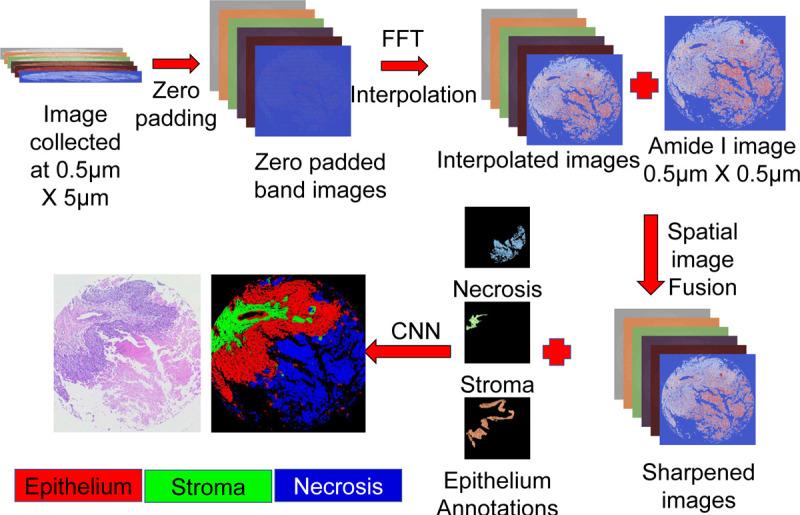 https://cdn.ncbi.nlm.nih.gov/pmc/blobs/47ac/10925386/8784ef3b9f03/nihpp-2402.17960v1-f0004.jpg