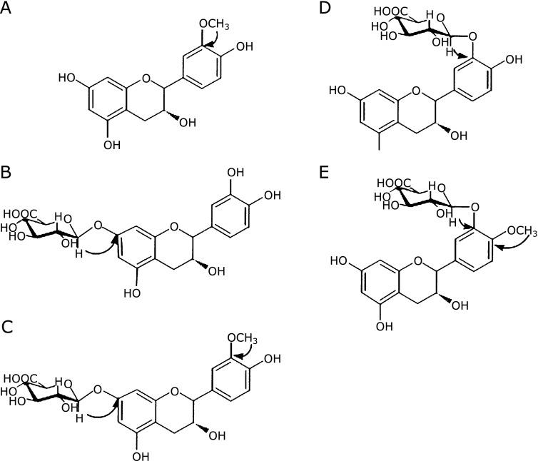 https://cdn.ncbi.nlm.nih.gov/pmc/blobs/47ac/3652297/3b7cfa5dd248/jcbn12-130f03.jpg