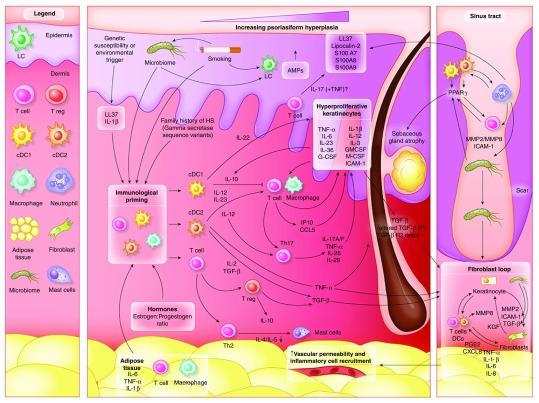 https://cdn.ncbi.nlm.nih.gov/pmc/blobs/47ac/6392156/43a0c08970ac/f1000research-7-18879-g0001.jpg