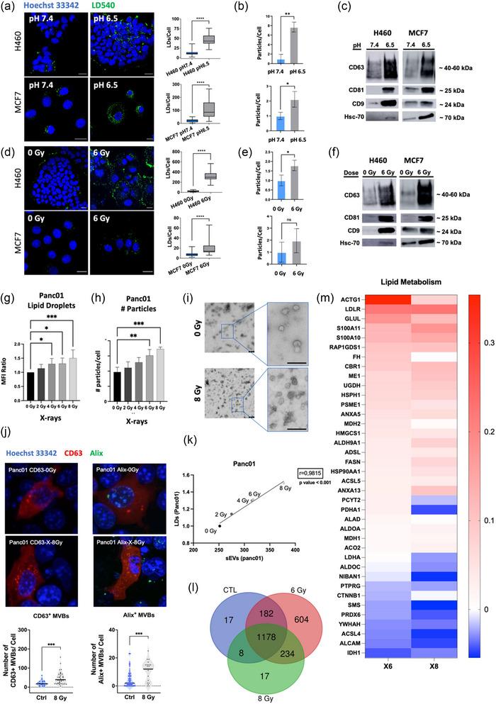 https://cdn.ncbi.nlm.nih.gov/pmc/blobs/47ad/11386333/45a8373eae14/JEX2-3-e162-g005.jpg