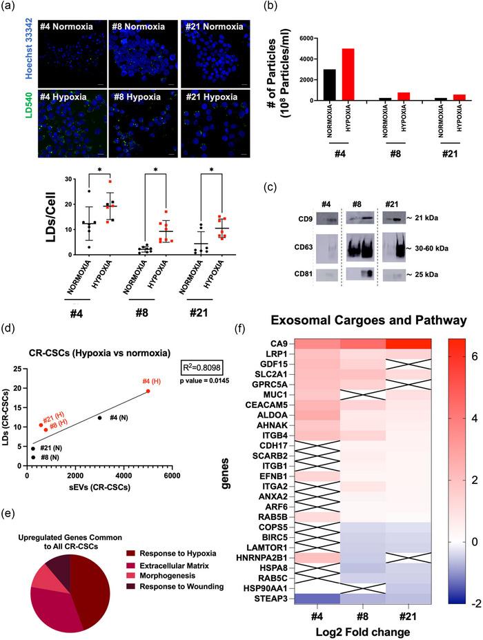 https://cdn.ncbi.nlm.nih.gov/pmc/blobs/47ad/11386333/7e4090628371/JEX2-3-e162-g004.jpg
