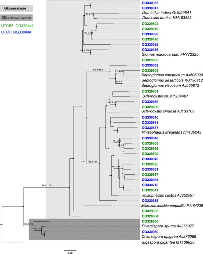 https://cdn.ncbi.nlm.nih.gov/pmc/blobs/47ad/11534833/e26f98a23e1c/248_2024_2449_Fig4_HTML.jpg