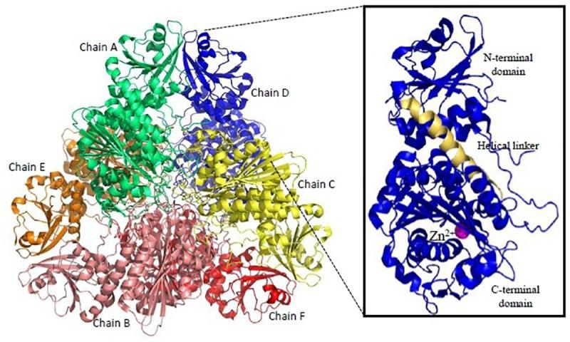 https://cdn.ncbi.nlm.nih.gov/pmc/blobs/47ad/6411711/7b8ad5010261/fmicb-10-00394-g006.jpg