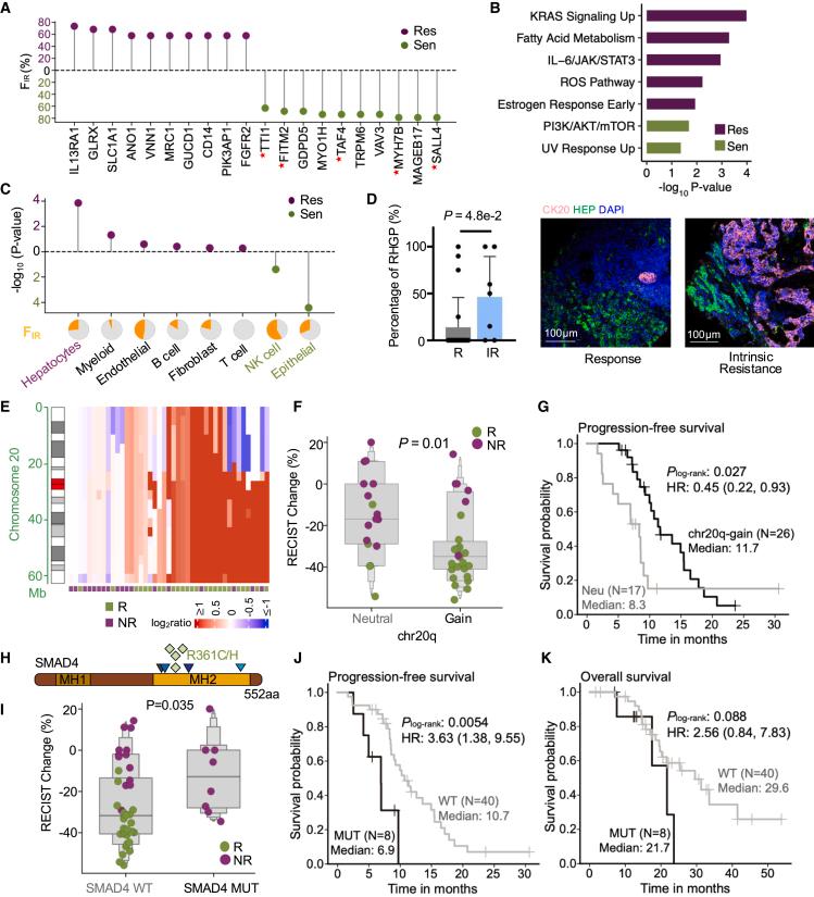 https://cdn.ncbi.nlm.nih.gov/pmc/blobs/47ae/11722126/19908683eb0e/gr4.jpg