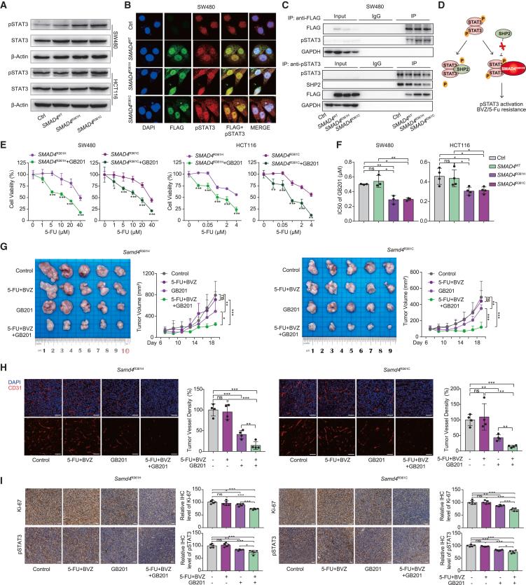 https://cdn.ncbi.nlm.nih.gov/pmc/blobs/47ae/11722126/7fbf66a3bd3e/gr6.jpg