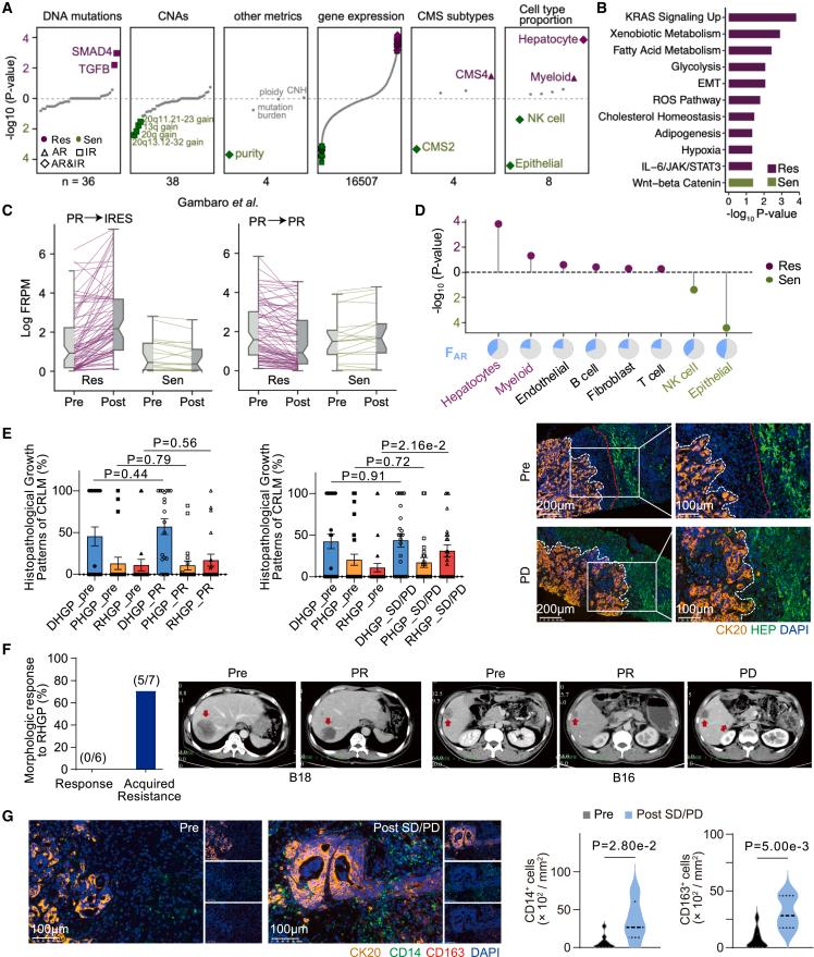 https://cdn.ncbi.nlm.nih.gov/pmc/blobs/47ae/11722126/9394390e4417/gr3.jpg