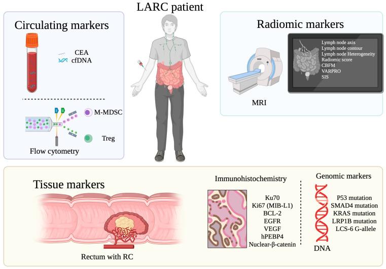 https://cdn.ncbi.nlm.nih.gov/pmc/blobs/47ae/12249413/64b2223d3cc7/cancers-17-02229-g002.jpg