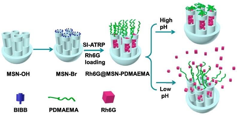 https://cdn.ncbi.nlm.nih.gov/pmc/blobs/47ae/6432388/ab502d4e27c5/polymers-08-00277-sch001.jpg