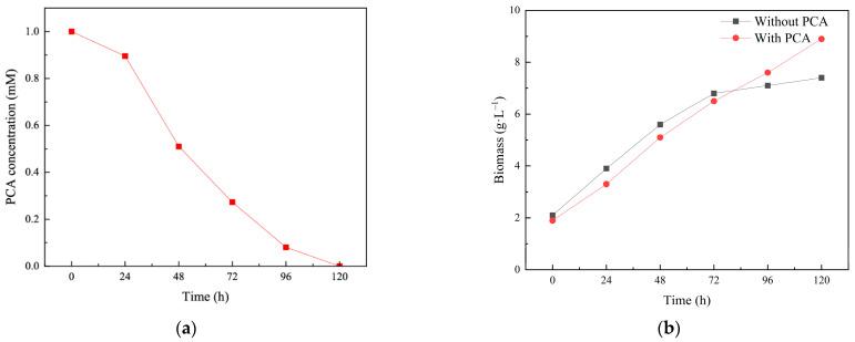 https://cdn.ncbi.nlm.nih.gov/pmc/blobs/47af/12197570/5b5007f0dbdb/toxics-13-00506-g001.jpg