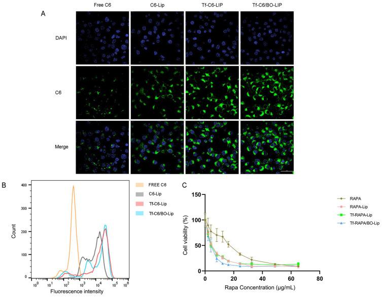 https://cdn.ncbi.nlm.nih.gov/pmc/blobs/47b0/12000915/5a5d4cca128a/IJN-20-4503-g0003.jpg