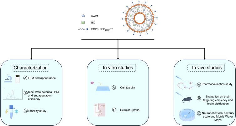 https://cdn.ncbi.nlm.nih.gov/pmc/blobs/47b0/12000915/f772e1867a32/IJN-20-4503-g0001.jpg