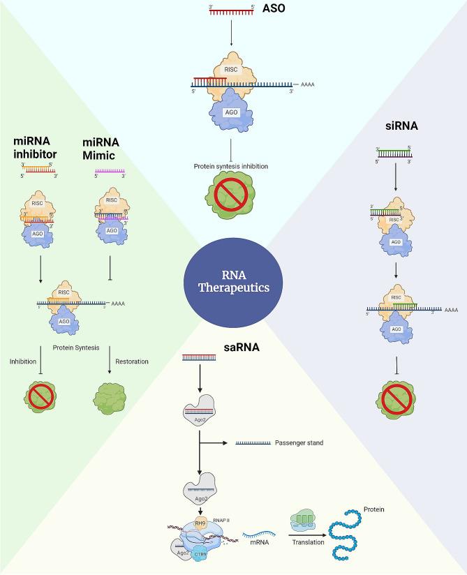 https://cdn.ncbi.nlm.nih.gov/pmc/blobs/47b3/11301835/158affe59e27/12967_2024_5554_Fig1_HTML.jpg