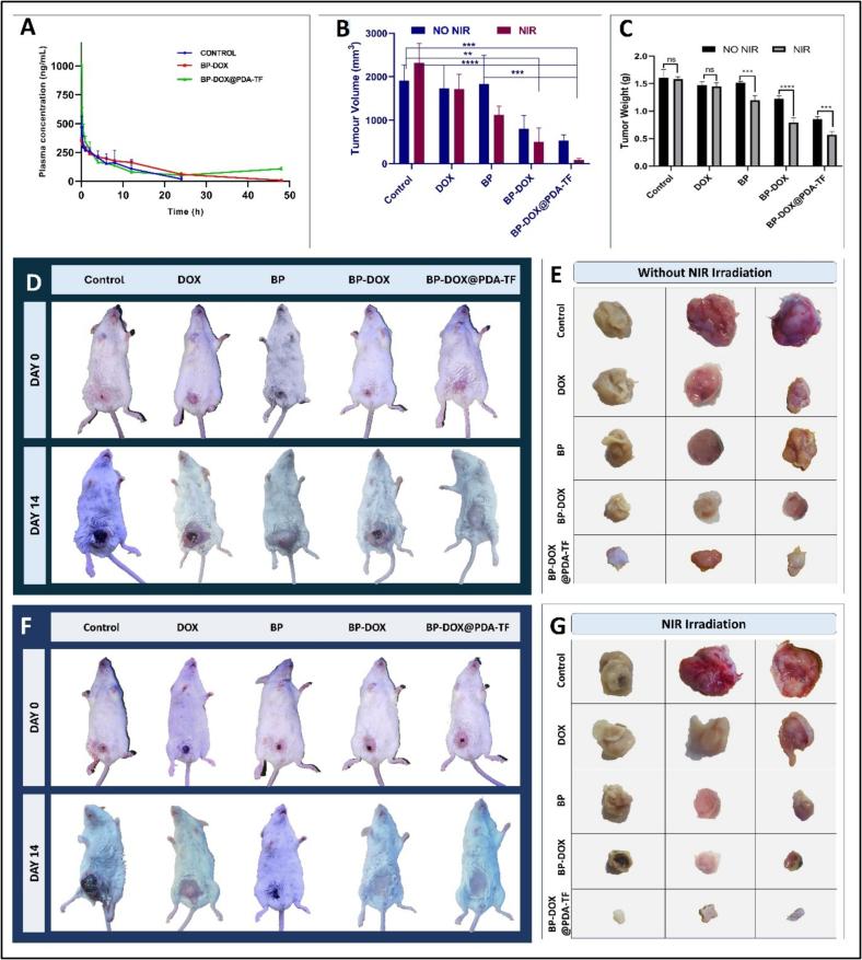 https://cdn.ncbi.nlm.nih.gov/pmc/blobs/47b3/12356476/224e748422b2/gr8.jpg