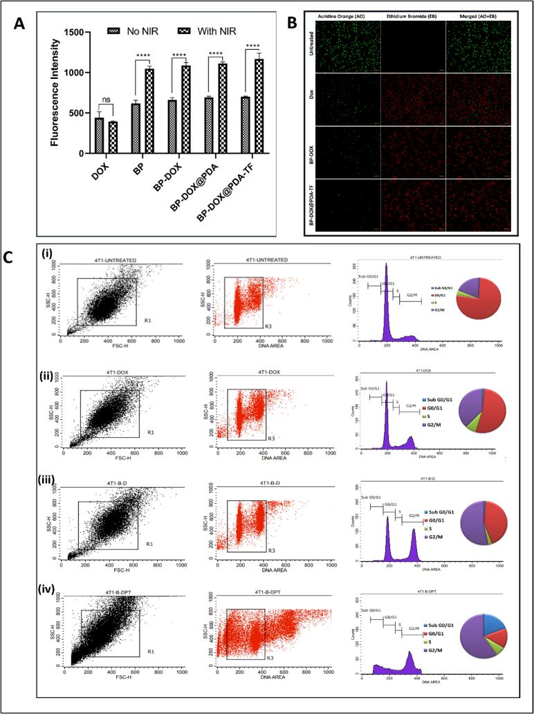 https://cdn.ncbi.nlm.nih.gov/pmc/blobs/47b3/12356476/6237e1aebef2/gr7.jpg