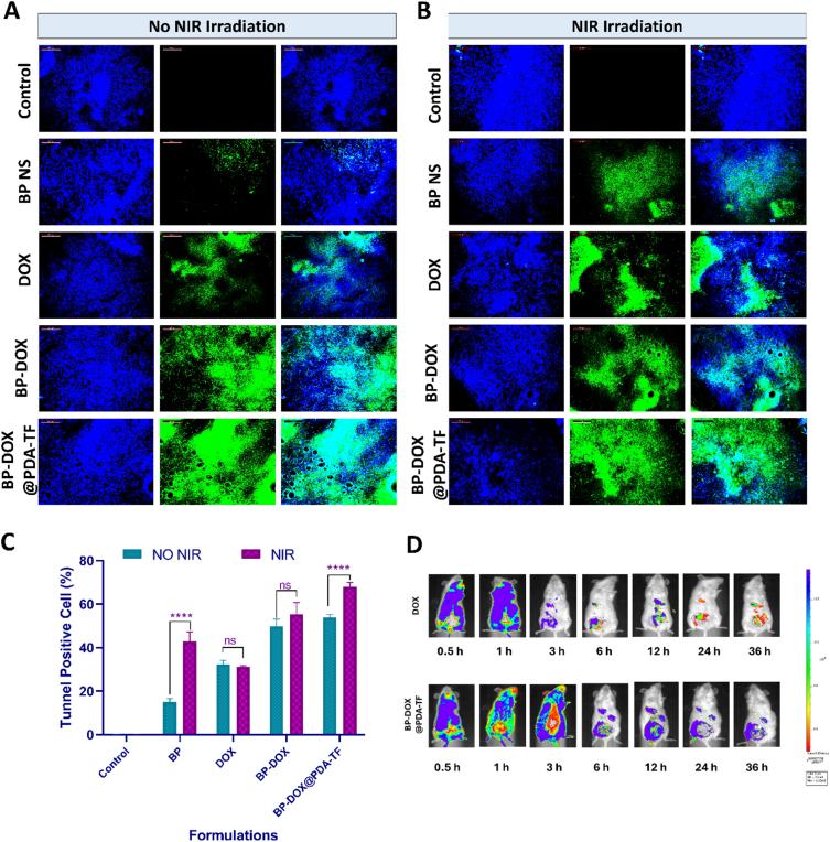 https://cdn.ncbi.nlm.nih.gov/pmc/blobs/47b3/12356476/88fbab25fa42/gr14.jpg