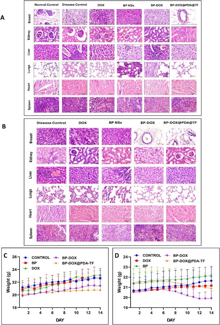https://cdn.ncbi.nlm.nih.gov/pmc/blobs/47b3/12356476/a9158f12b59a/gr10.jpg