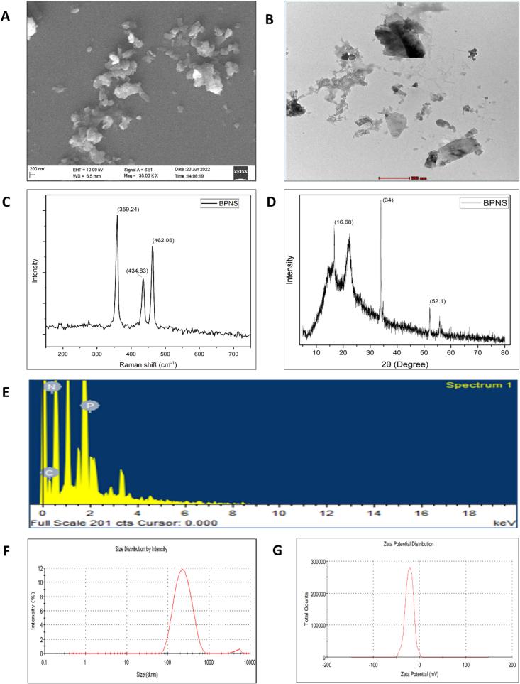 https://cdn.ncbi.nlm.nih.gov/pmc/blobs/47b3/12356476/bfbd5a03403d/gr2.jpg