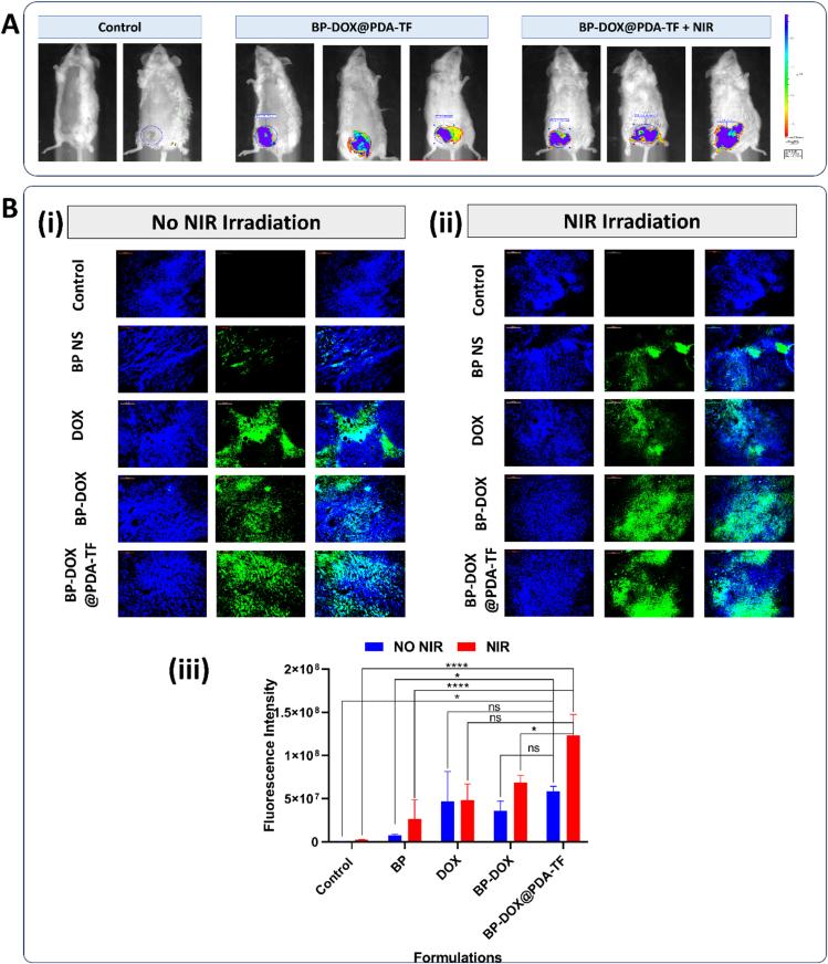 https://cdn.ncbi.nlm.nih.gov/pmc/blobs/47b3/12356476/e64ef40d31d9/gr13.jpg