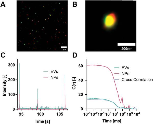 https://cdn.ncbi.nlm.nih.gov/pmc/blobs/47b6/11804839/a33da97fbb63/ADHM-14-0-g005.jpg