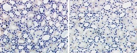 https://cdn.ncbi.nlm.nih.gov/pmc/blobs/47b8/2974213/0aca17b24f4f/11255_2009_9681_Fig1_HTML.jpg