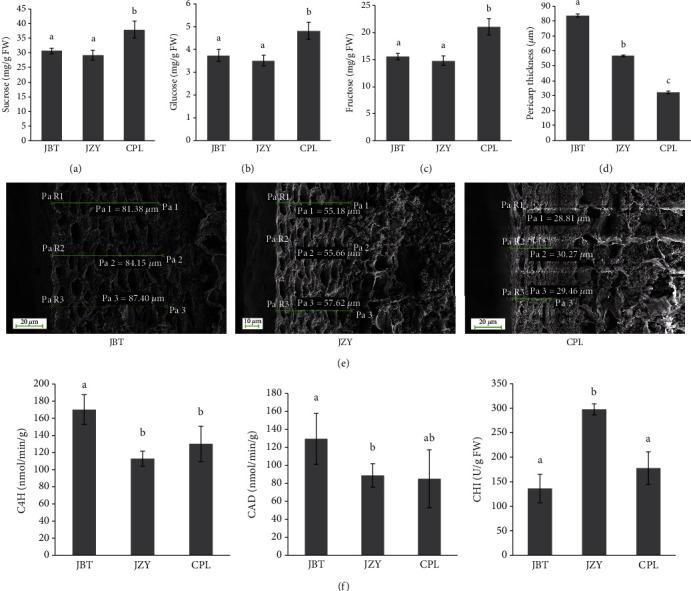 https://cdn.ncbi.nlm.nih.gov/pmc/blobs/47b9/7884158/7b0fa99fd8b8/IJG2021-2654546.001.jpg