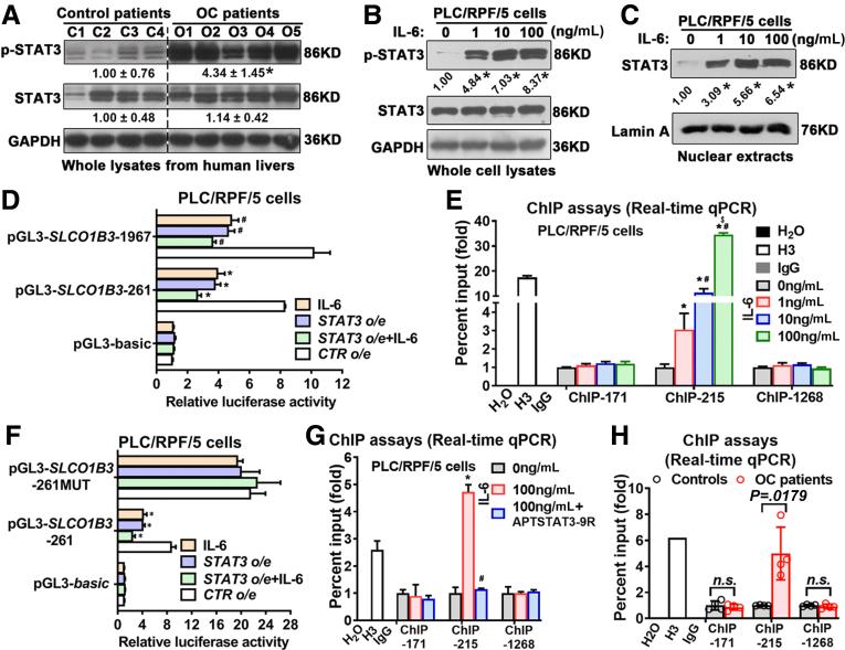 https://cdn.ncbi.nlm.nih.gov/pmc/blobs/47bb/10394288/5a2415dc6a2a/gr6.jpg