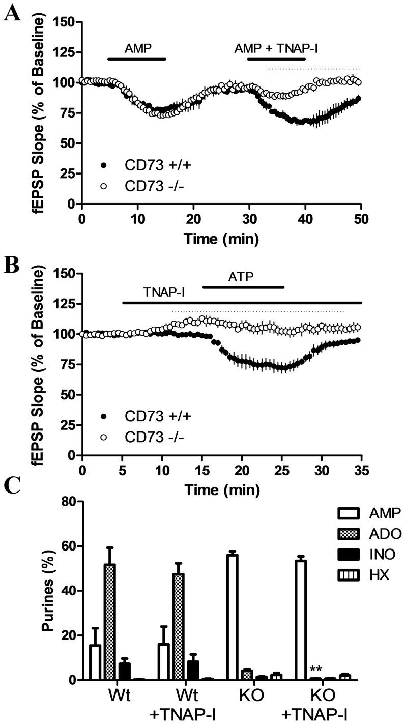 https://cdn.ncbi.nlm.nih.gov/pmc/blobs/47bb/3382561/ace3d25141f9/pone.0039772.g007.jpg