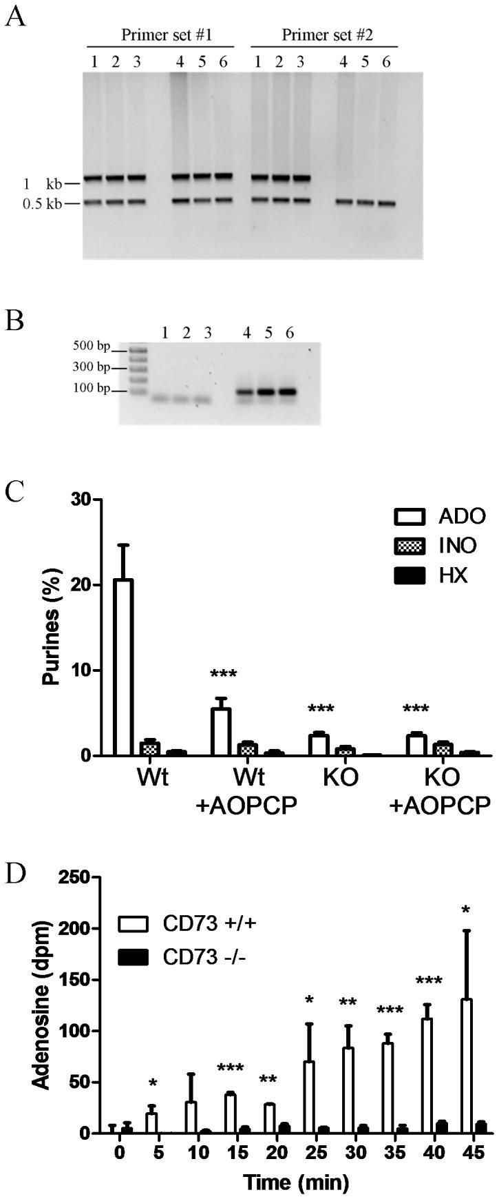 https://cdn.ncbi.nlm.nih.gov/pmc/blobs/47bb/3382561/c11fe9def71b/pone.0039772.g001.jpg