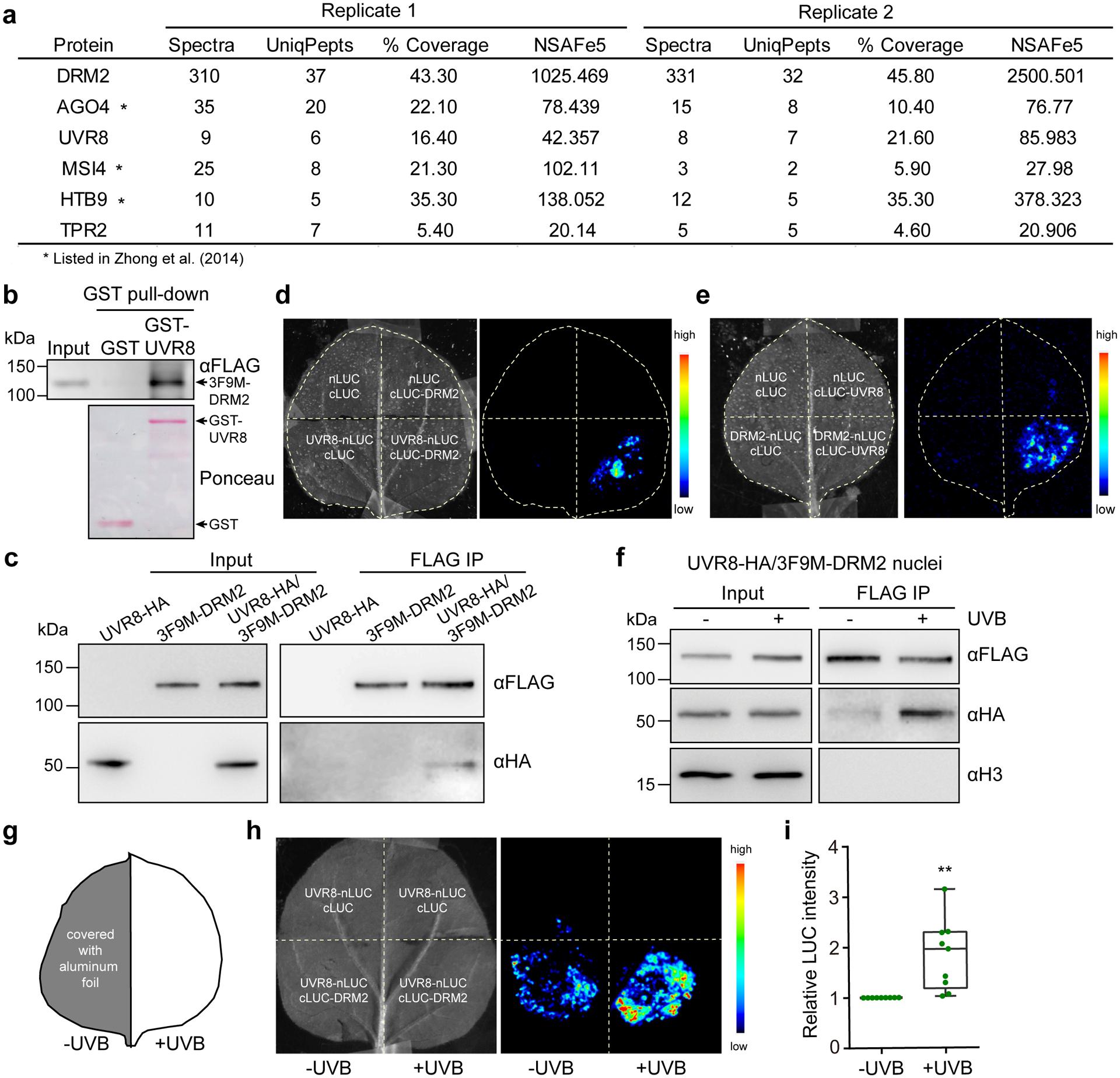 https://cdn.ncbi.nlm.nih.gov/pmc/blobs/47bf/7889724/72291ccf6852/nihms-1656206-f0004.jpg