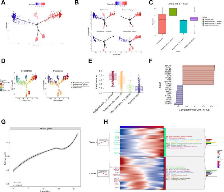 https://cdn.ncbi.nlm.nih.gov/pmc/blobs/47c0/12240986/0f810972f623/fimmu-16-1602898-g003.jpg