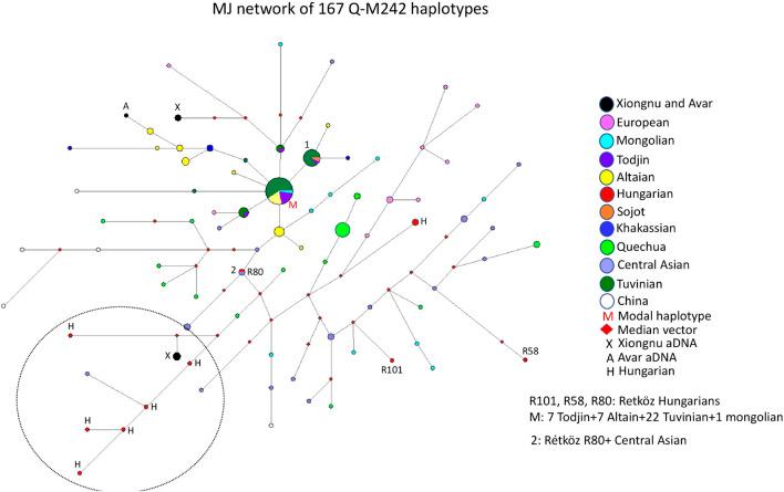 https://cdn.ncbi.nlm.nih.gov/pmc/blobs/47c1/9619085/6cfd32f8bfcb/fgene-13-977517-g005.jpg