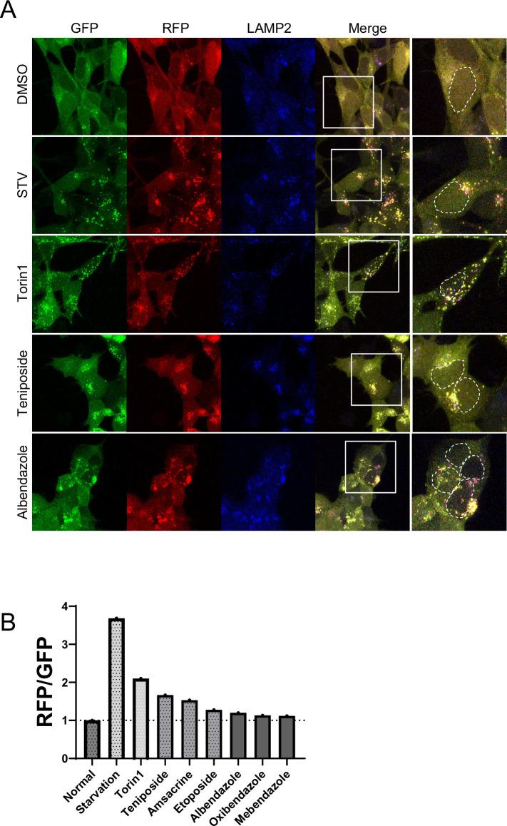 https://cdn.ncbi.nlm.nih.gov/pmc/blobs/47c2/11221835/0c585c787c6b/elife-98649-fig2-figsupp2.jpg