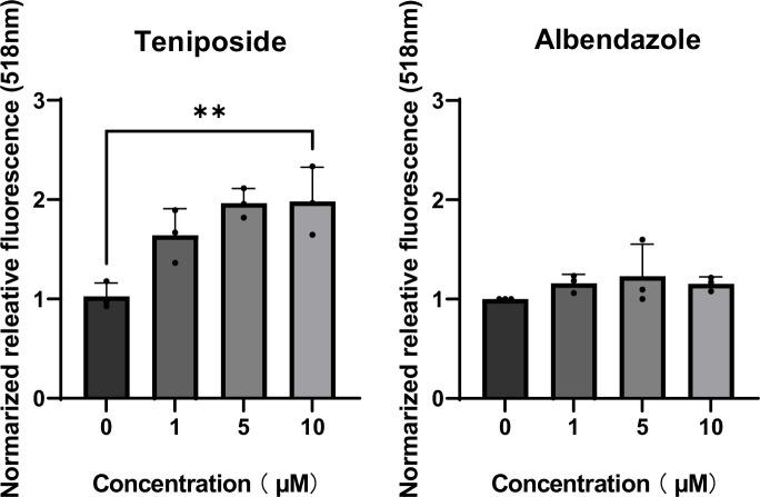 https://cdn.ncbi.nlm.nih.gov/pmc/blobs/47c2/11221835/22c628bc4b6b/elife-98649-fig5-figsupp1.jpg
