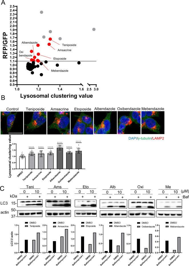 https://cdn.ncbi.nlm.nih.gov/pmc/blobs/47c2/11221835/35ff8a523bfe/elife-98649-fig2.jpg
